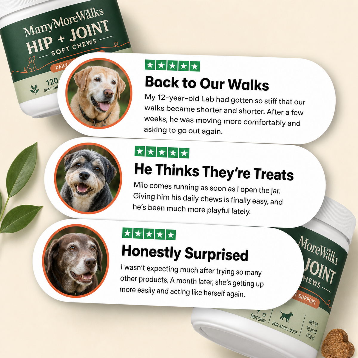 ManyMoreWalks - Hip & Joint Soft Chews